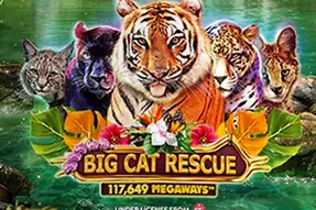 Big Cat Rescue Megaways